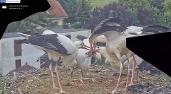 IMG_8423.jpeg