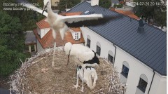 IMG_8444.jpeg