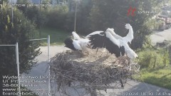 IMG_8361.jpeg