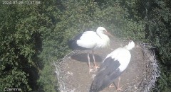 IMG_8274.jpeg