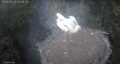 IMG_8535.jpeg