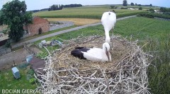 2024-07-26 21_52_46-Bocian Gierłachowo - YouTube – Maxthon.jpg