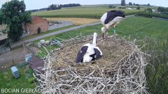 2024-07-26 21_54_25-Bocian Gierłachowo - YouTube – Maxthon.jpg