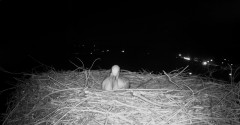 IMG_8554.jpeg