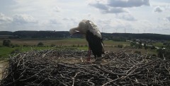 IMG_8293.jpeg