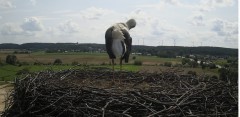 IMG_8302.jpeg