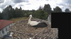 IMG_8159.jpeg