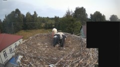 IMG_8515.jpeg