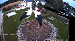 IMG_8517.jpeg