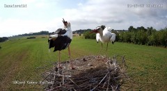 IMG_8279.jpeg