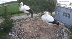 IMG_8566.jpeg