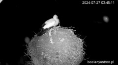 IMG_8808.jpeg