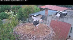 bandicam 2024-07-27 19-15-04-465.jpg