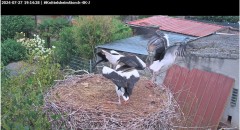 bandicam 2024-07-27 19-15-04-167.jpg
