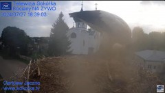 MWSnap 2024-07-27, 21_29_07.jpg