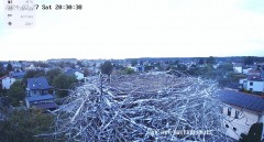 IMG_8878.jpeg