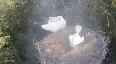 IMG_8739.jpeg