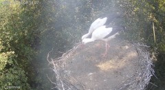 IMG_8747.jpeg