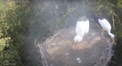 IMG_8750.jpeg