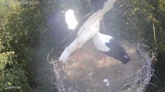 IMG_8752.jpeg