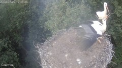 IMG_8920.jpeg