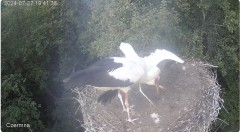 IMG_8927.jpeg