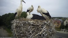 IMG_8681.jpeg