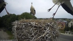 IMG_8694.jpeg