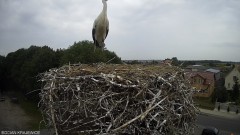 IMG_8696.jpeg