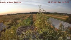 2024-07-27 22_55_34-Bociany w Nowym Kamieniu kam.3 - YouTube – Maxthon.jpg