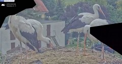 IMG_8891.jpeg