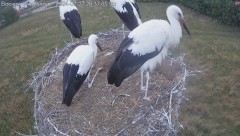 IMG_8903.jpeg