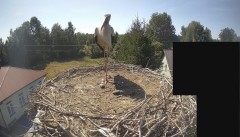 IMG_8637.jpeg