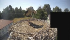 IMG_8639.jpeg