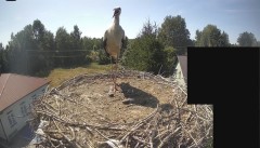 IMG_8641.jpeg