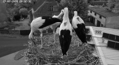 IMG_8889.jpeg