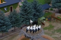 IMG_8908.jpeg