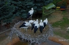 IMG_8915.jpeg