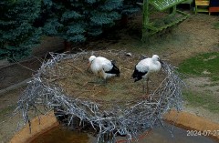 IMG_8649.jpeg