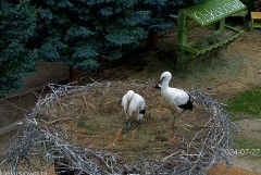IMG_8700.jpeg