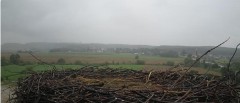 MWSnap 2024-07-28, 11_34_55.jpg