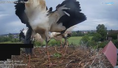IMG_9215.jpeg