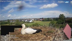 IMG_9267.jpeg