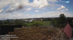 IMG_9270.jpeg