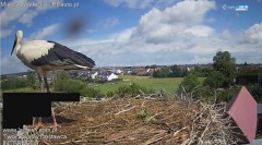 IMG_9262.jpeg