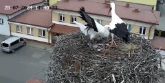 IMG_9150.jpeg