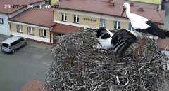 IMG_9152.jpeg