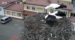 IMG_9161.jpeg