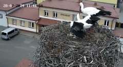 IMG_9167.jpeg