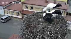 IMG_9168.jpeg